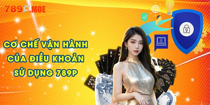 Tìm hiểu cơ chế vận hành của điều khoản sử dụng 789P